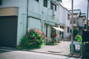 Street Photography Print（仮）